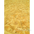 OSB OLB Wood Panel для строительства